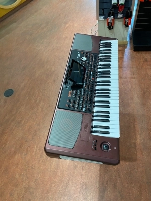 Korg PA1000 Professional Arranger 5